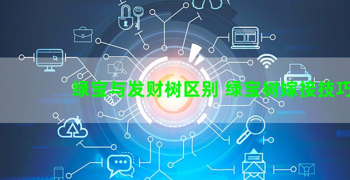 绿宝与发财树区别 绿宝树嫁接技巧